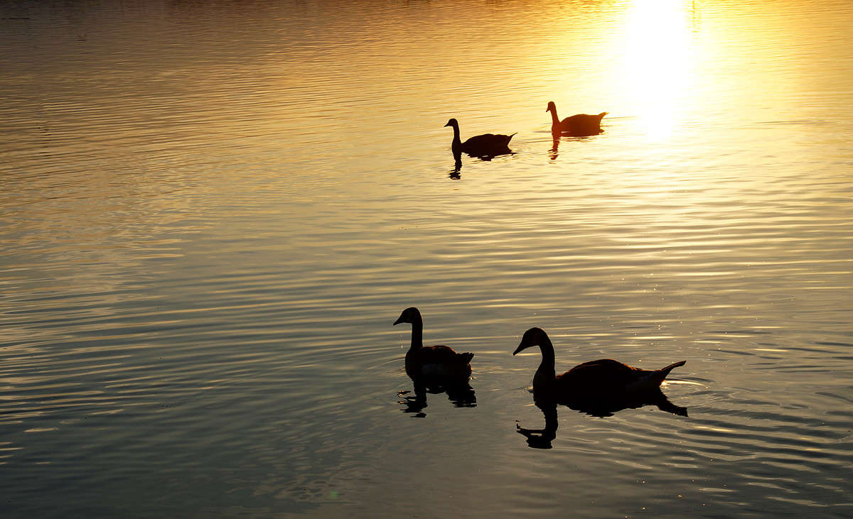 ���������� �������� ����� �������  �� PhotoGeek.ru #�������� ���