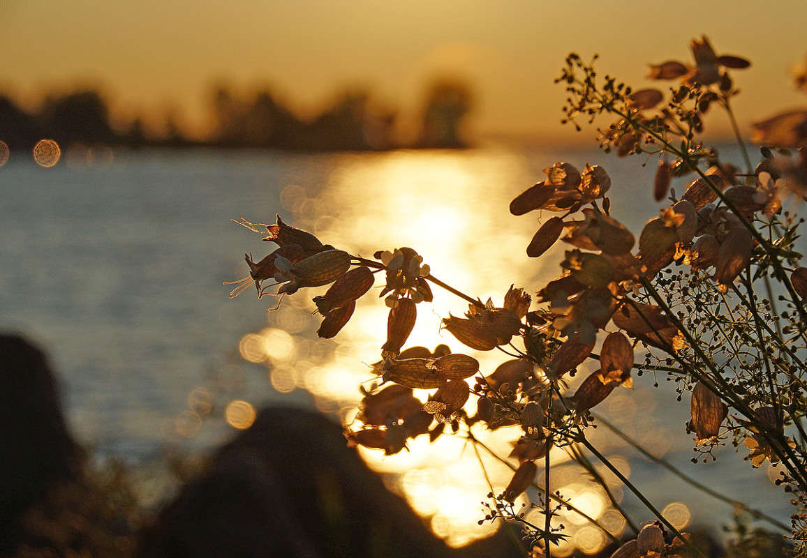 ��������� ���� ����� �������  �� PhotoGeek.ru #������ ��� �������