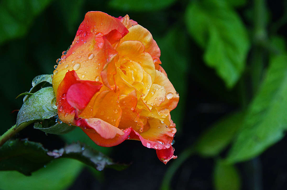 ������� ������� ����� ����� �������  �� PhotoGeek.ru #������ ��� �������