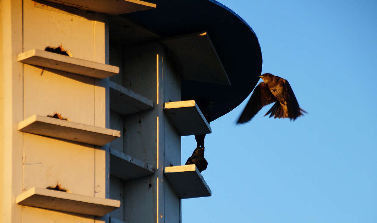 ��� ����� ������ ����� �������  �� PhotoGeek.ru #�������� ���