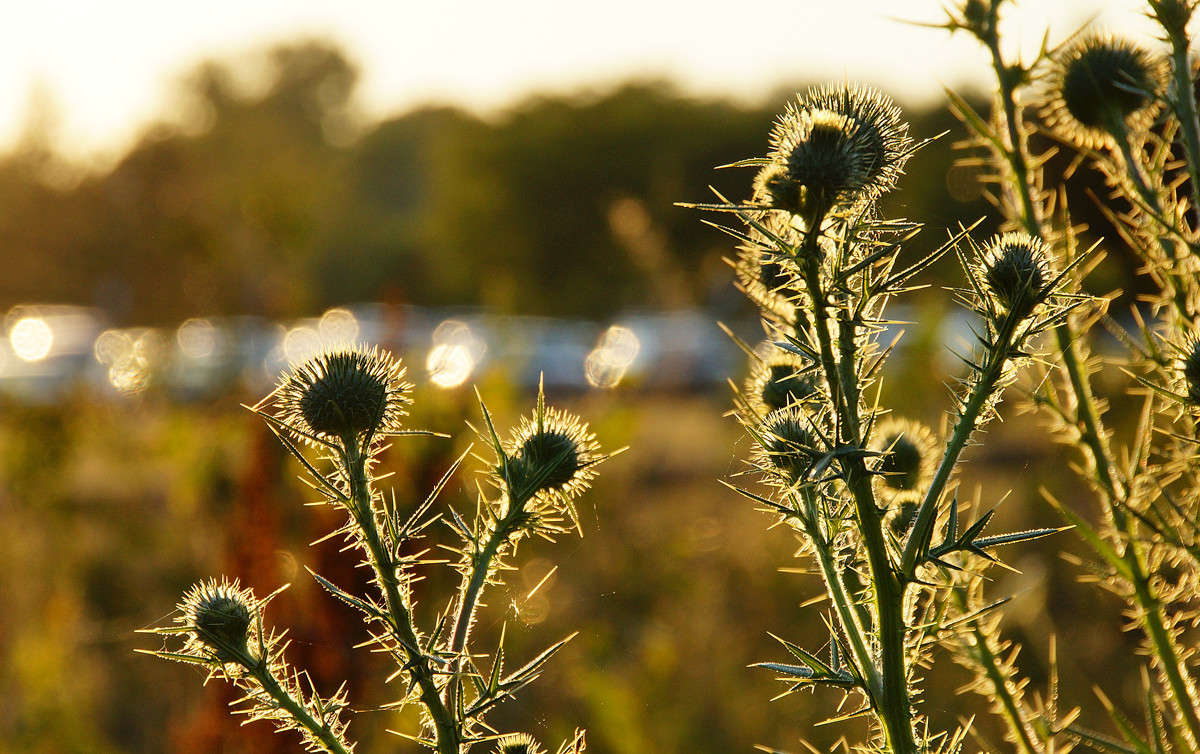 ����������� ����� �������  �� PhotoGeek.ru #������ ��� �������