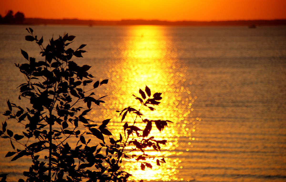 ��������� � ���� ����� �������  �� PhotoGeek.ru #������ ��� �������