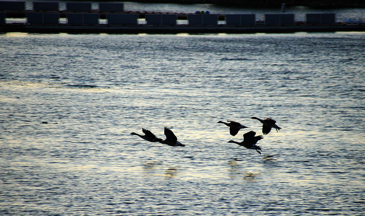 ������� ���� ����� �������  �� PhotoGeek.ru #�������� ���