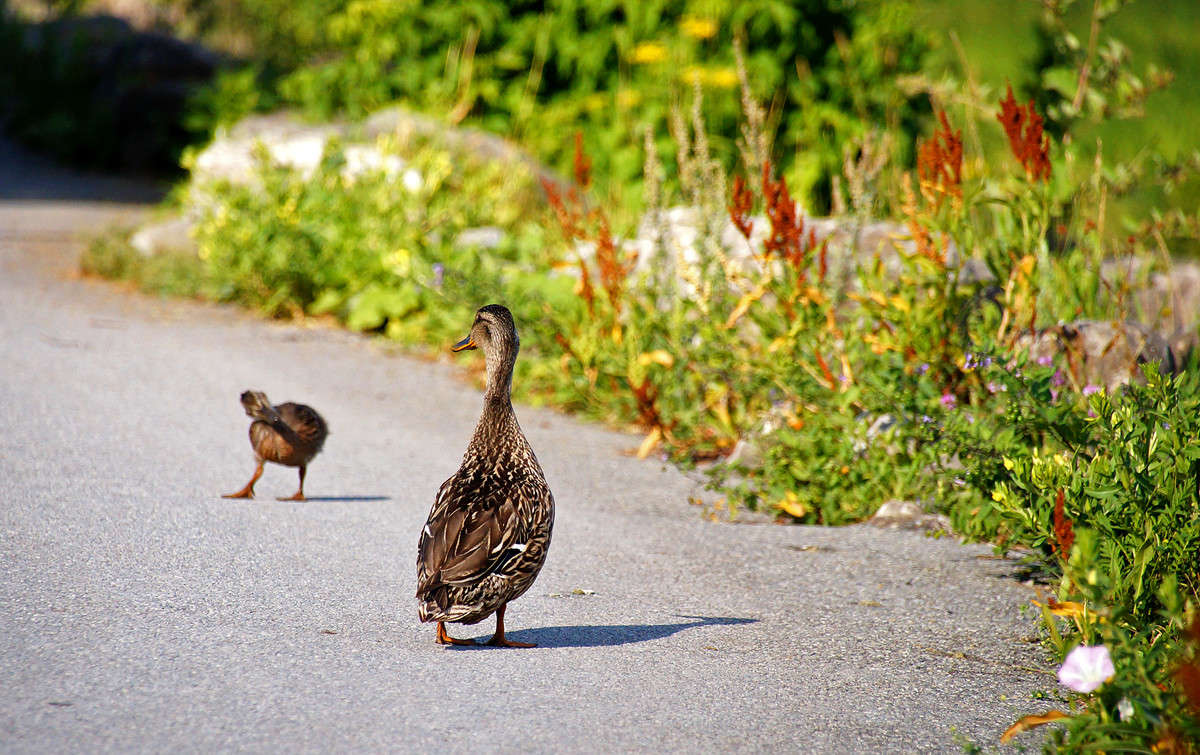 �� �� ������, ��� ���� ����� ����� �������  �� PhotoGeek.ru #�������� ���