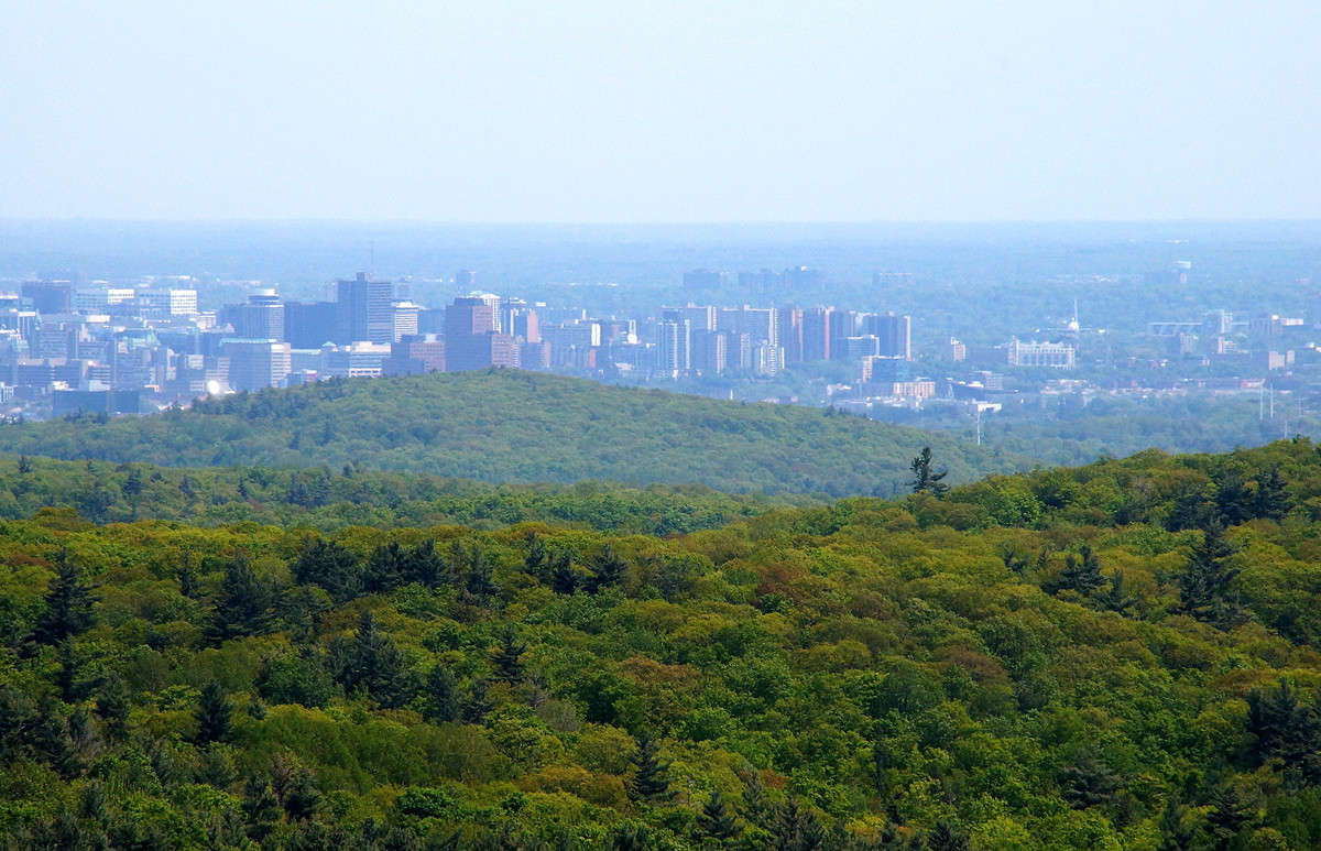 ���� ��������� ����� �������  �� PhotoGeek.ru #�����