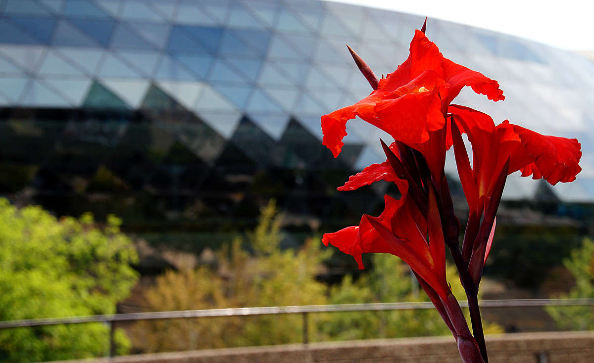 ������ ����� �������  �� PhotoGeek.ru #�����