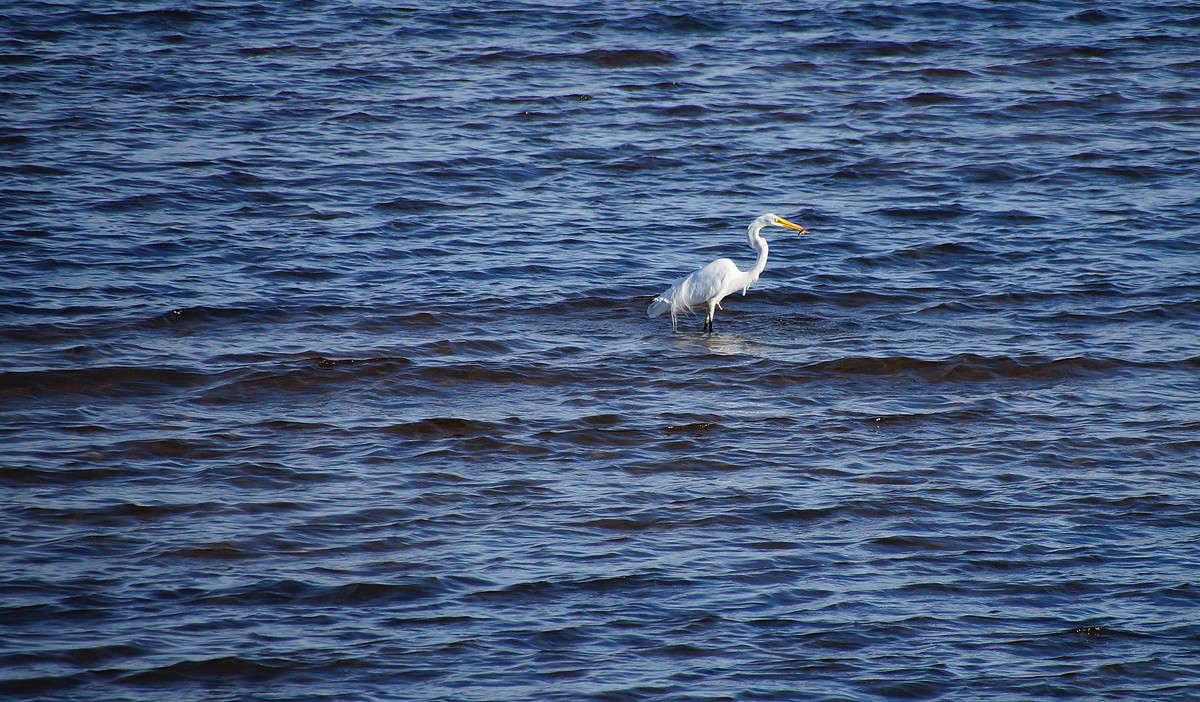 ����� ������ ����� �������  �� PhotoGeek.ru #�������� ���