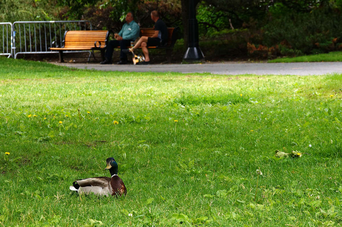 ����� ������ �� ������ �������? ����� �������  �� PhotoGeek.ru #�����