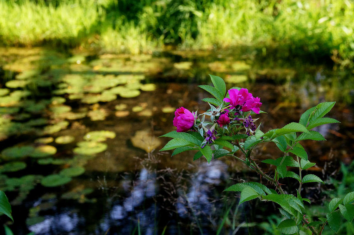 ������ ���� ����� �������  �� PhotoGeek.ru #������ ��� �������