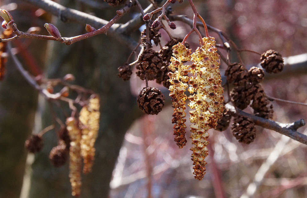������� ����� ����� �������  �� PhotoGeek.ru #������ ��� �������
