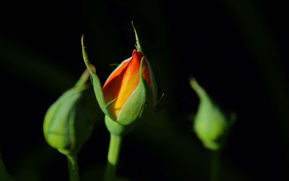 ��� ��������� ����� �������  �� PhotoGeek.ru #������ ��� �������