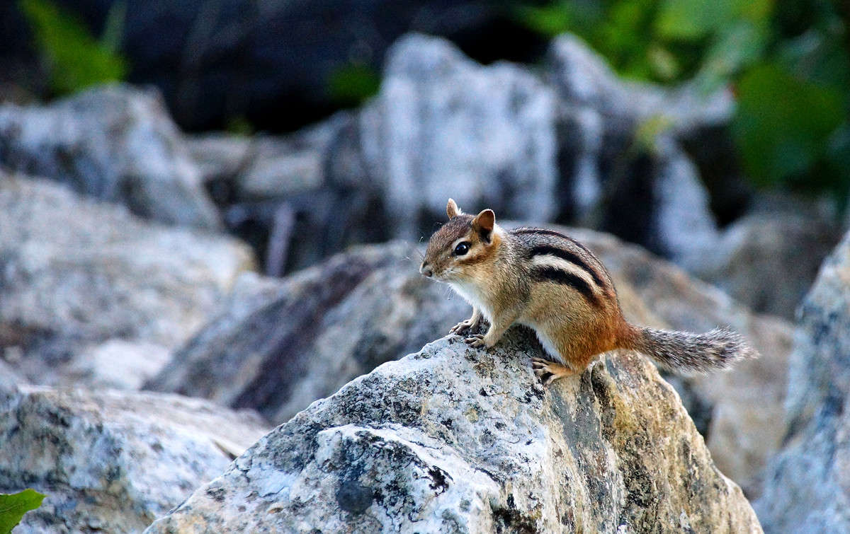 ���� ���� ����� �������  �� PhotoGeek.ru #�������� ���