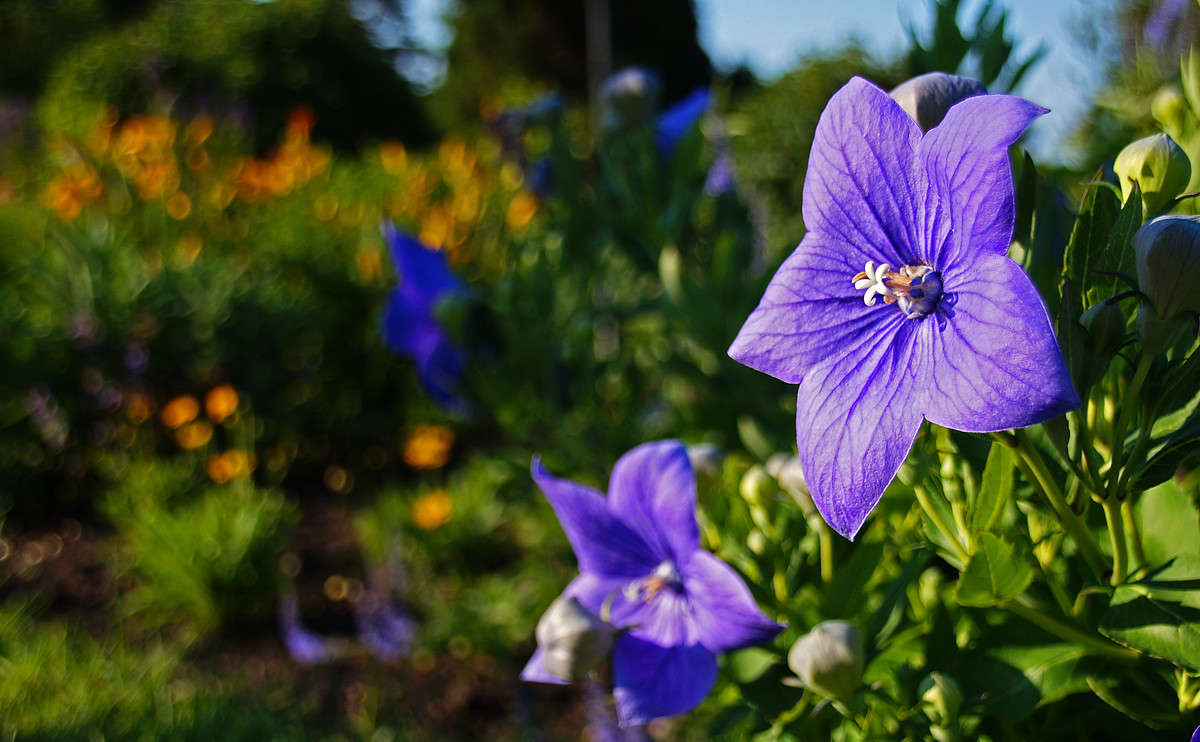 ����� ����� ����� �������  �� PhotoGeek.ru #������ ��� �������