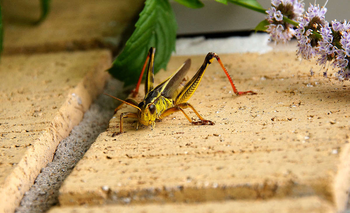 �������� ����� �������  �� PhotoGeek.ru #�������� ���