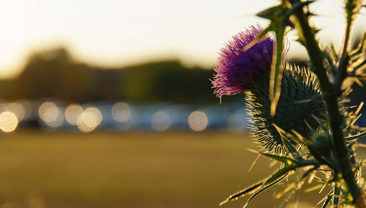 ��������� ����� �������  �� PhotoGeek.ru #������ ��� �������