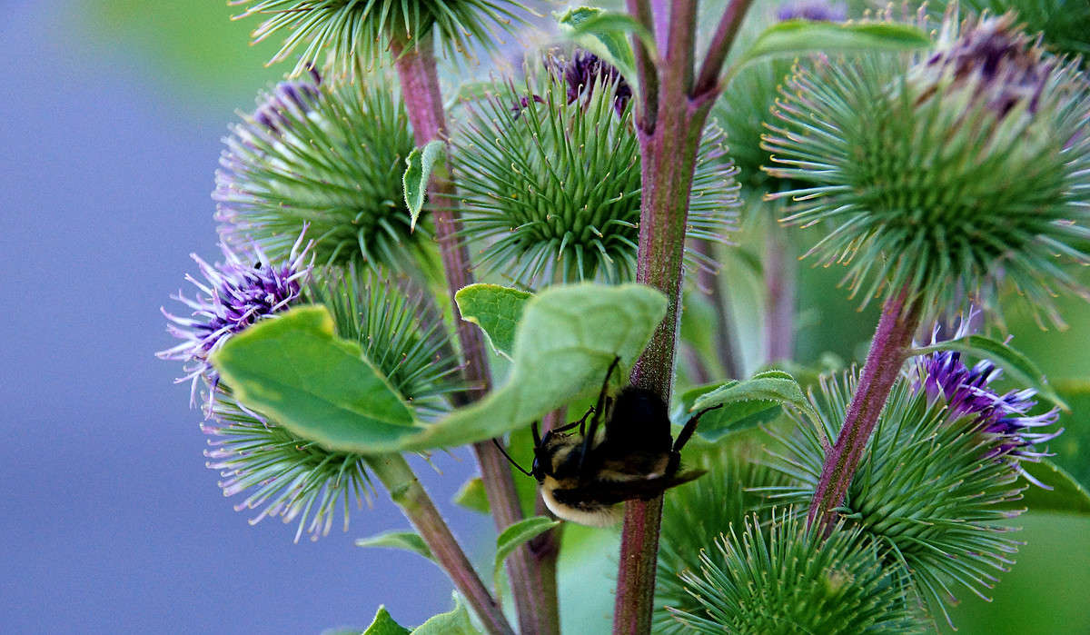 ������� ��������� ����� �������  �� PhotoGeek.ru #�������� ��� #������ ��� �������