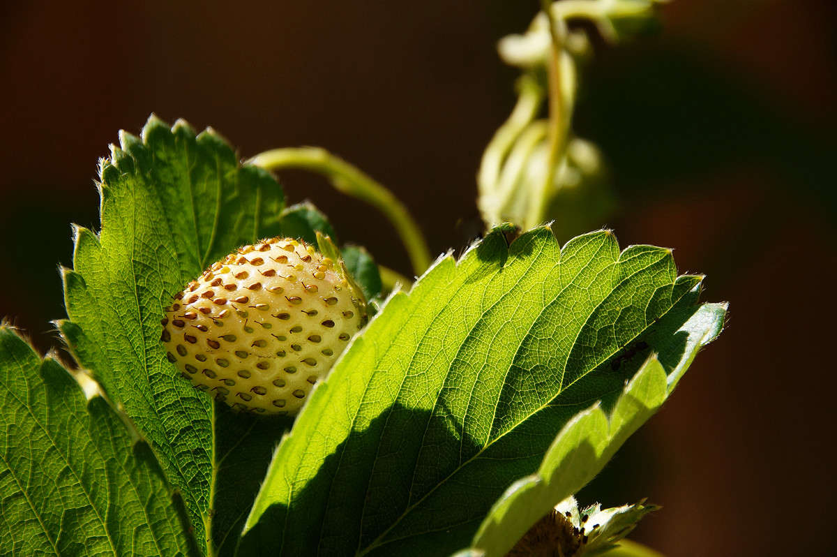 � ���� ����� ����� �������  �� PhotoGeek.ru #������ ��� �������