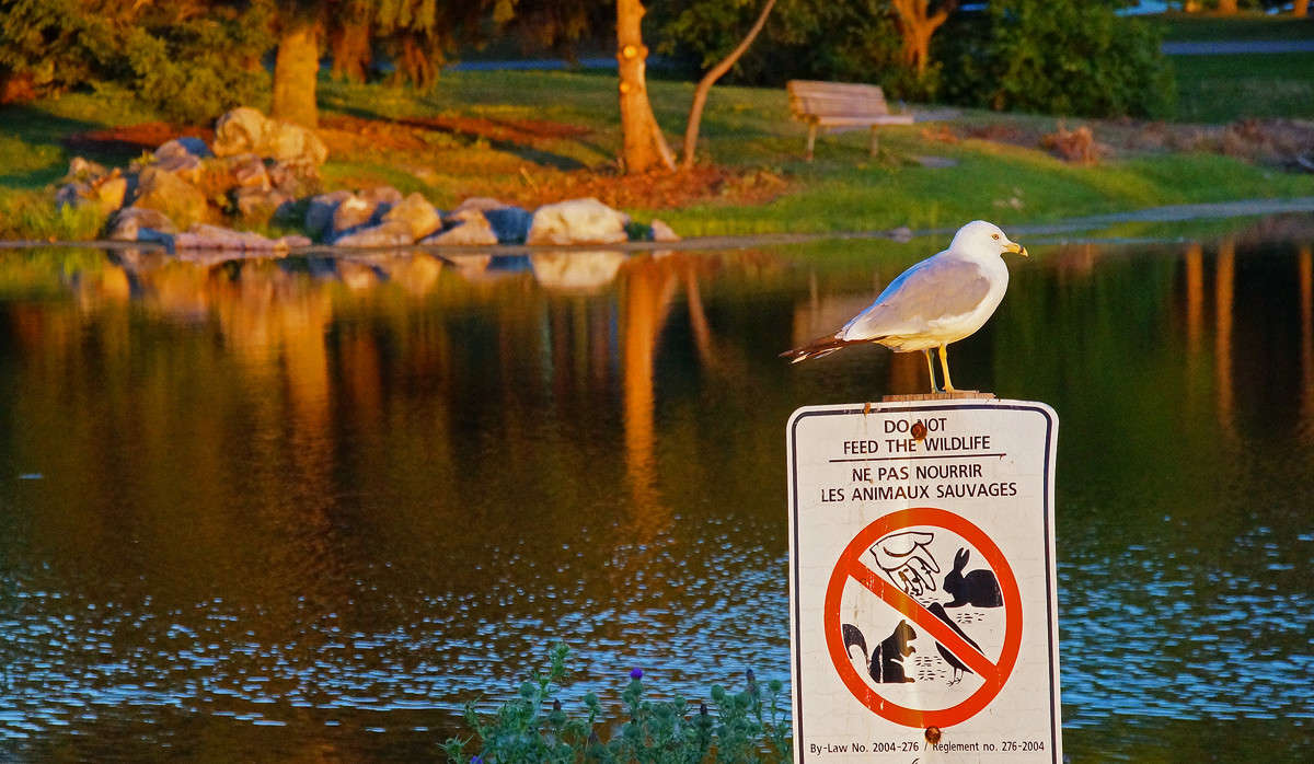 ����� ���� �����! ����� �������  �� PhotoGeek.ru #�������� ���