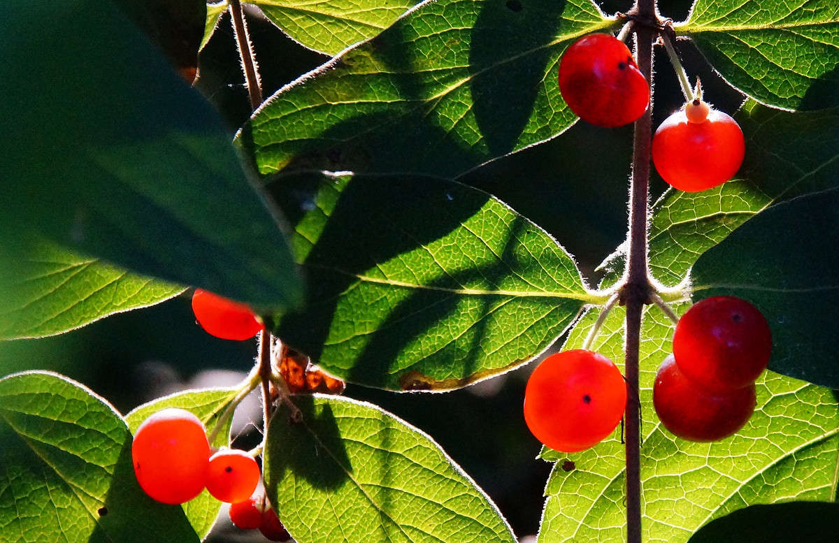 ������. ����� �������  �� PhotoGeek.ru #������ ��� �������