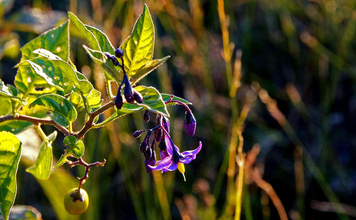 ��� ���� ����� �������  �� PhotoGeek.ru #������ ��� �������