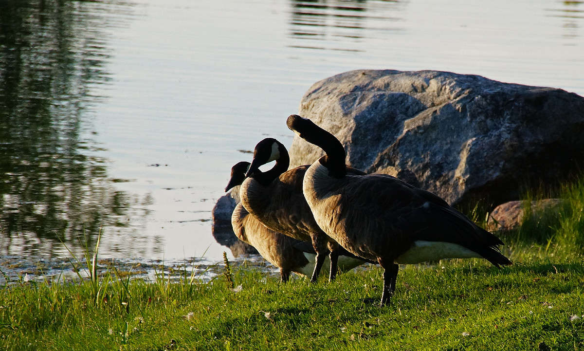 ������� ����� �������  �� PhotoGeek.ru #�������� ���