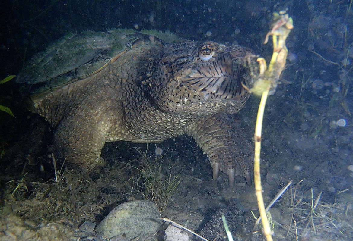 ������� �� ������ �������� ����� �������  �� PhotoGeek.ru #�������� ���