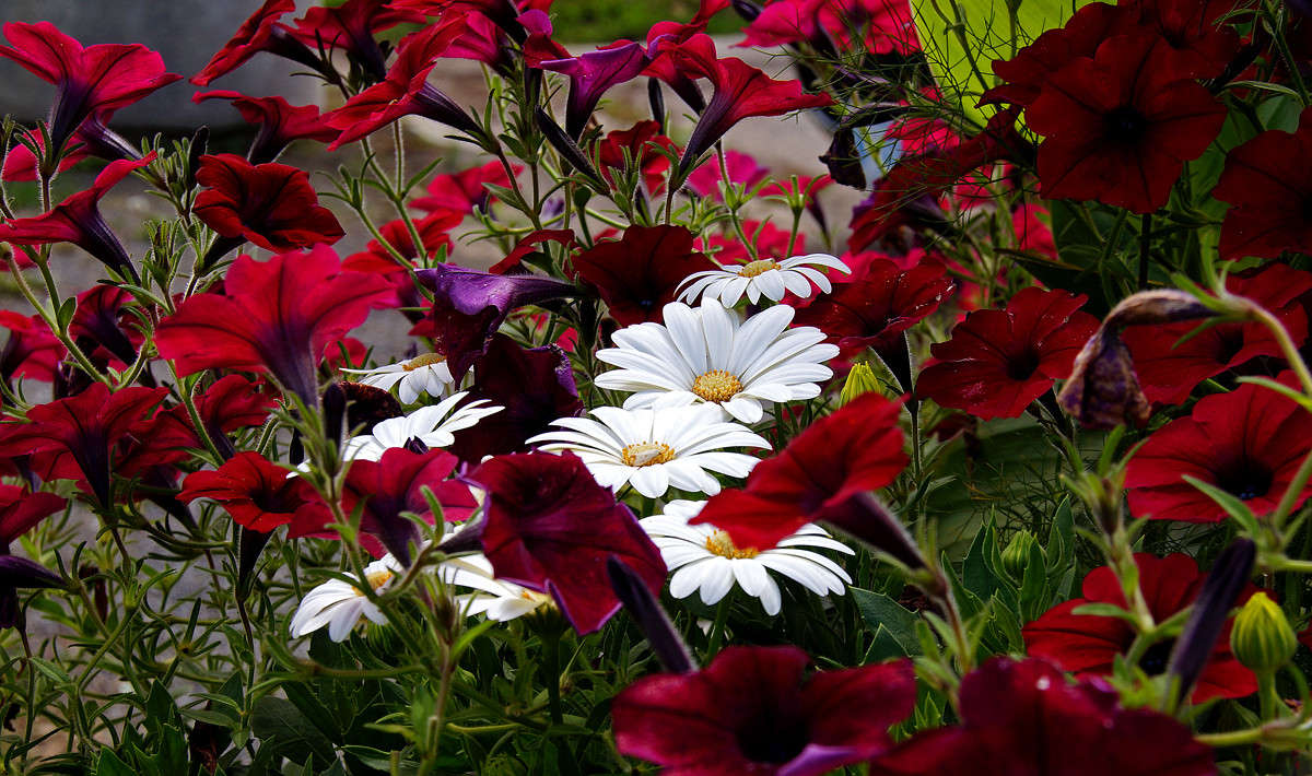 ������� ����� �������  �� PhotoGeek.ru #������ ��� �������