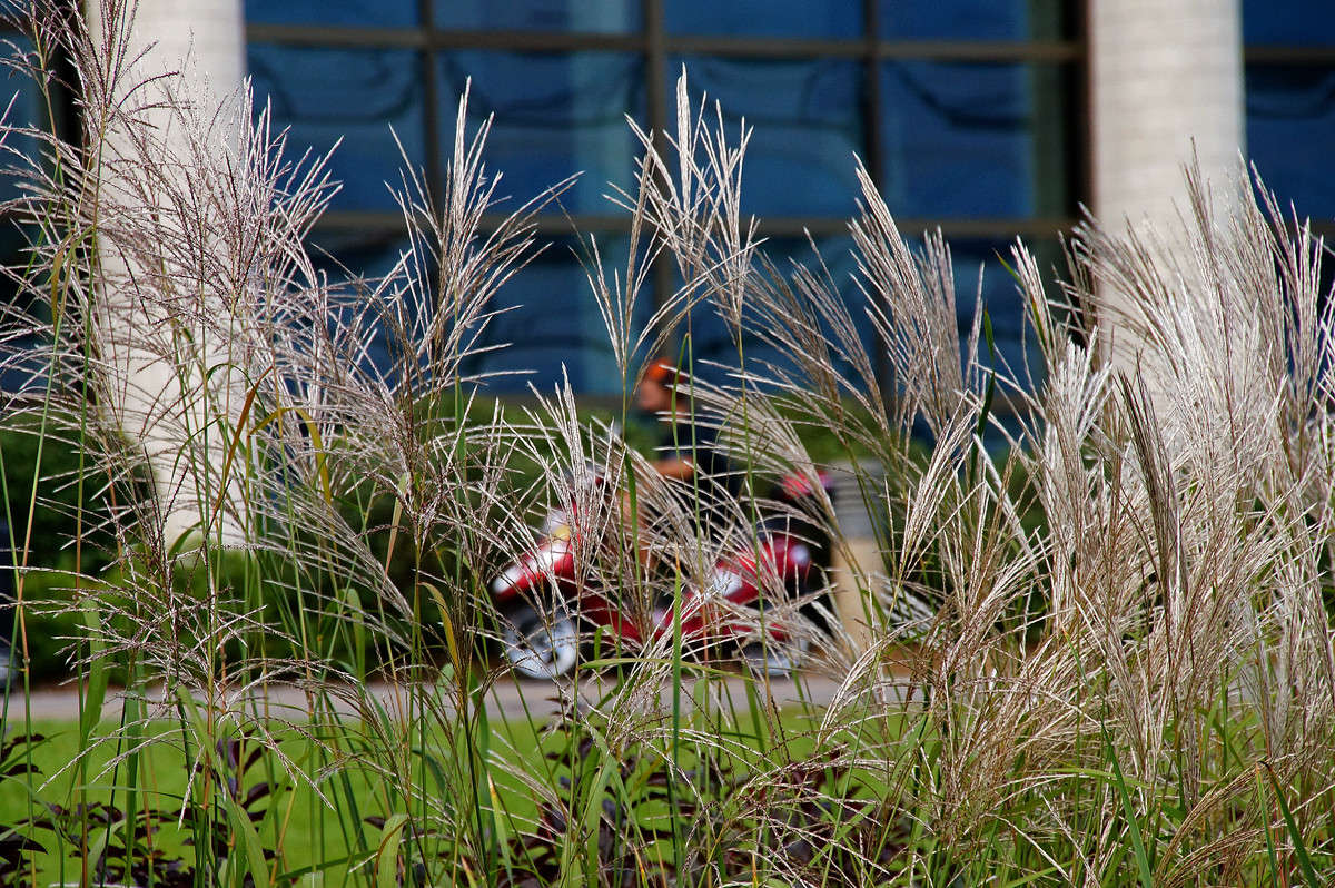 ���� ����� �������  �� PhotoGeek.ru #����� #�������� ����������