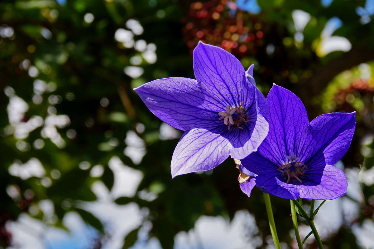 ������� ������� ����� �������  �� PhotoGeek.ru #������ ��� �������