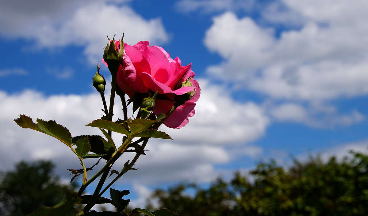 �������� ������� ����� �������  �� PhotoGeek.ru #������ ��� �������
