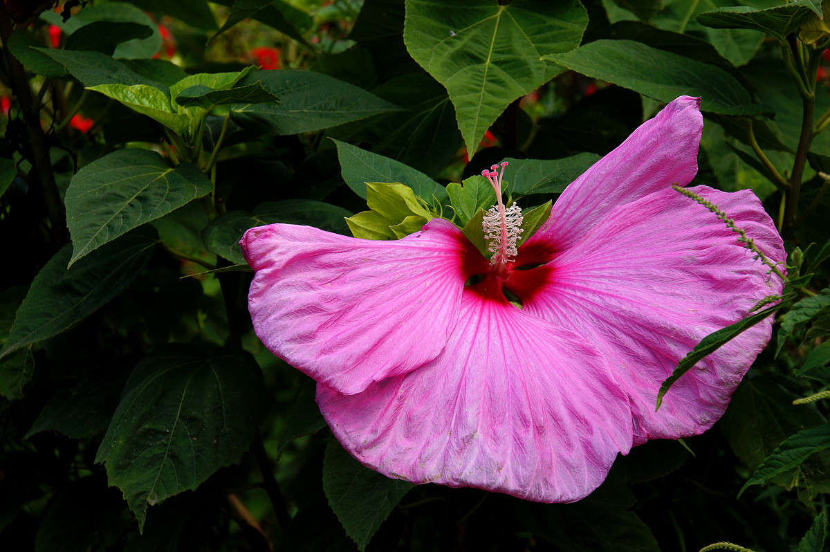 ������� ������ ����� �������  �� PhotoGeek.ru #������ ��� �������