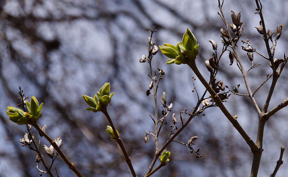 ����-������ ������� ����� �������  �� PhotoGeek.ru #������ ��� �������