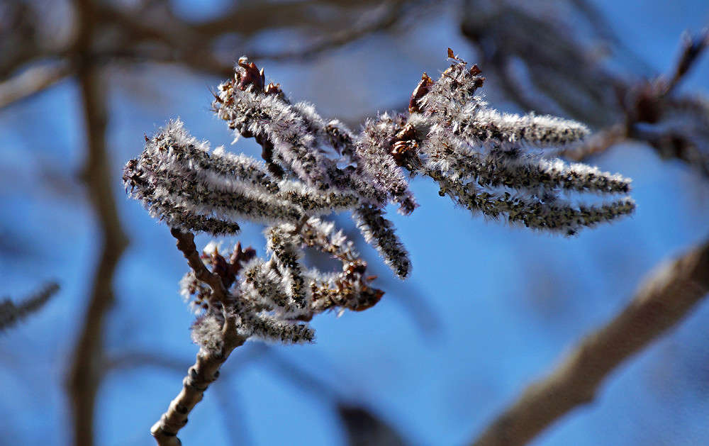 �� ���� ����� ����� �������  �� PhotoGeek.ru #������ ��� �������