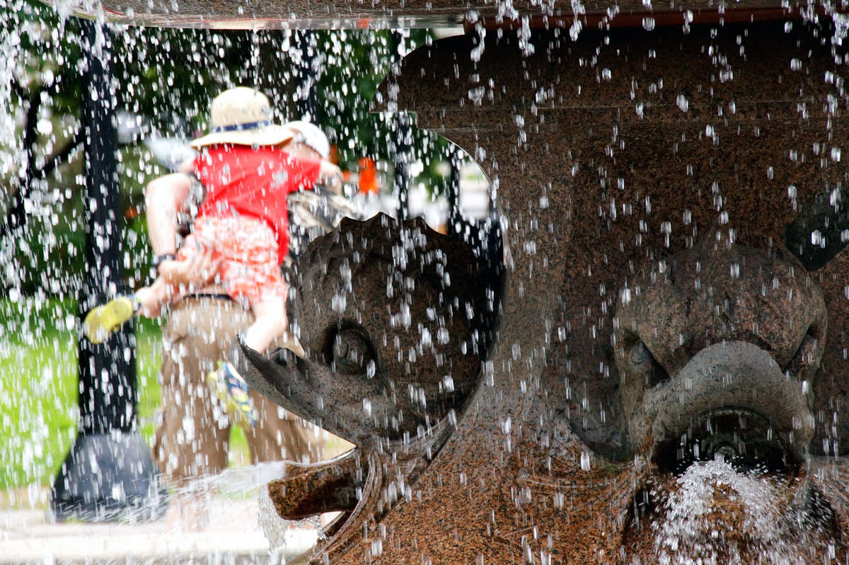 ����-��� ����� �������  �� PhotoGeek.ru #�����