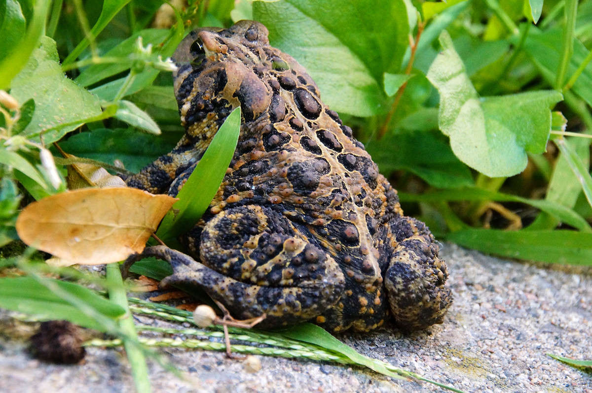 ������� ��� ����� �������  �� PhotoGeek.ru #�������� ���