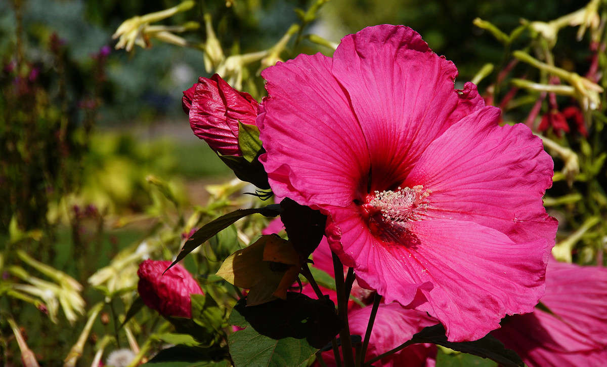 ظ�� �� �������� ����� �������  �� PhotoGeek.ru #������ ��� �������