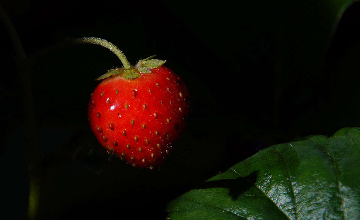 �� ��� �����! ����� �������  �� PhotoGeek.ru #������ ��� �������