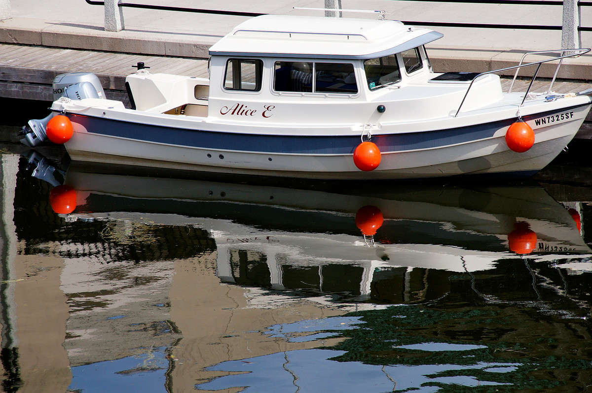 ����� � ���������� ����� �������  �� PhotoGeek.ru #�����