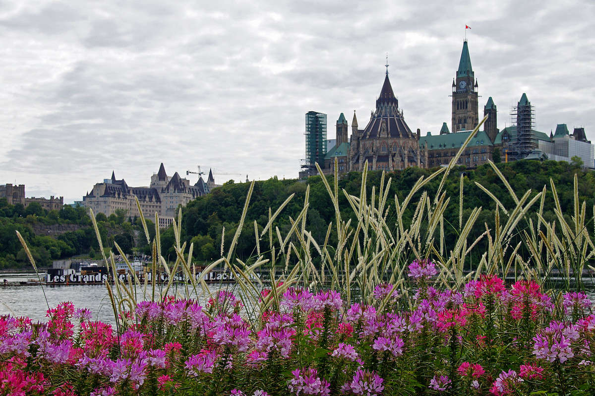 ������� ���������� ... ����� �������  �� PhotoGeek.ru #�����