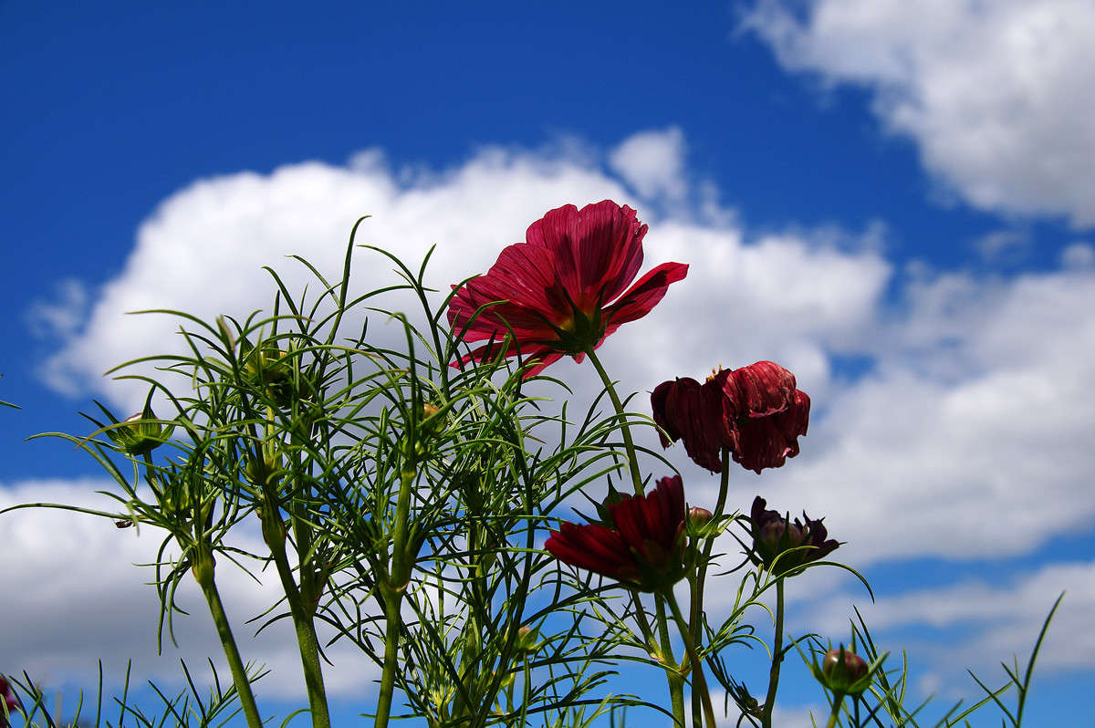 ������������ � ���� ����� �������  �� PhotoGeek.ru #������ ��� �������