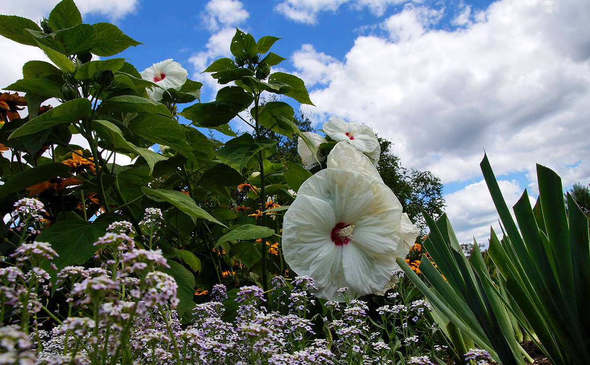 ��������� ���� ����� �������  �� PhotoGeek.ru #������ ��� �������