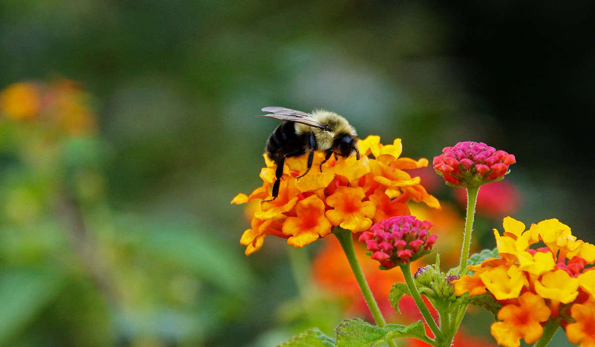 ������� � �������� ����� �������  �� PhotoGeek.ru #�������� ���