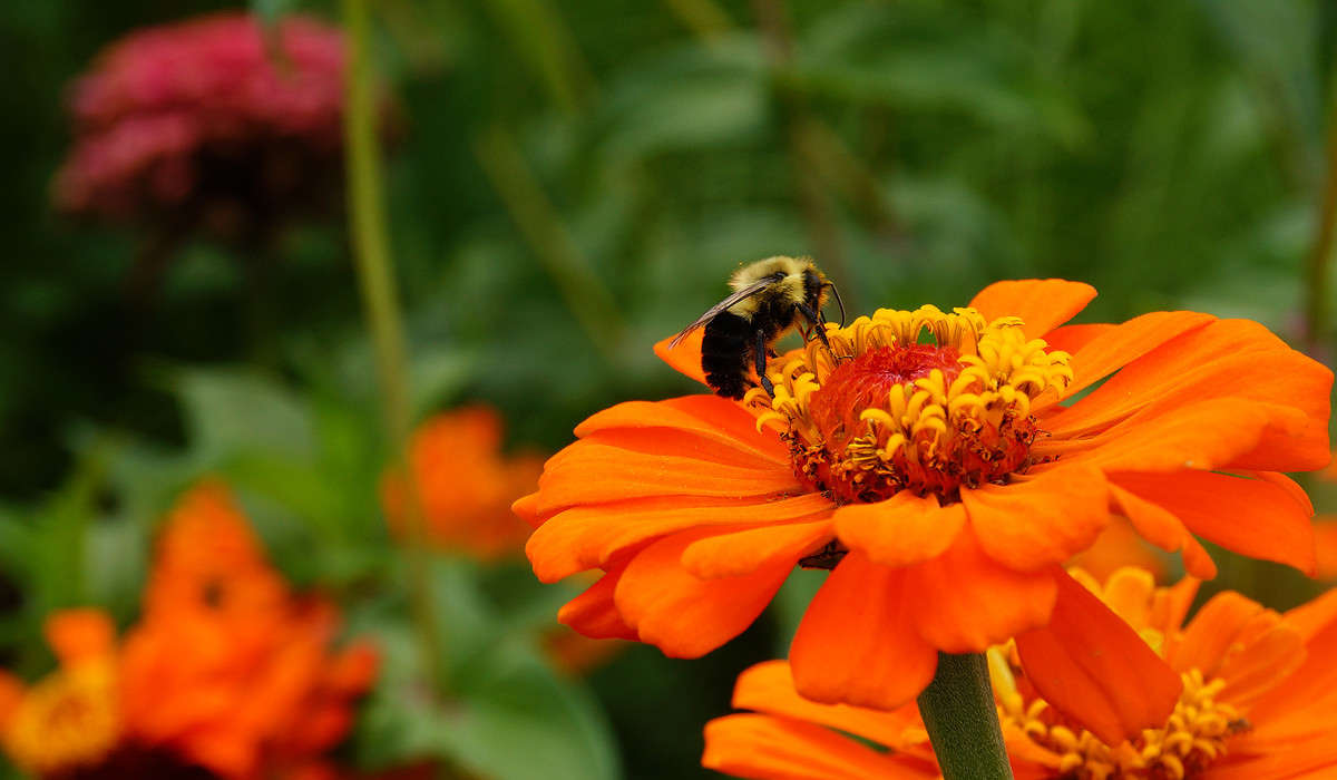 �� �������� ����� �������  �� PhotoGeek.ru #�������� ���