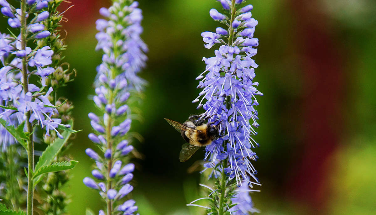 � ������ ����� �������  �� PhotoGeek.ru #������ ��� �������