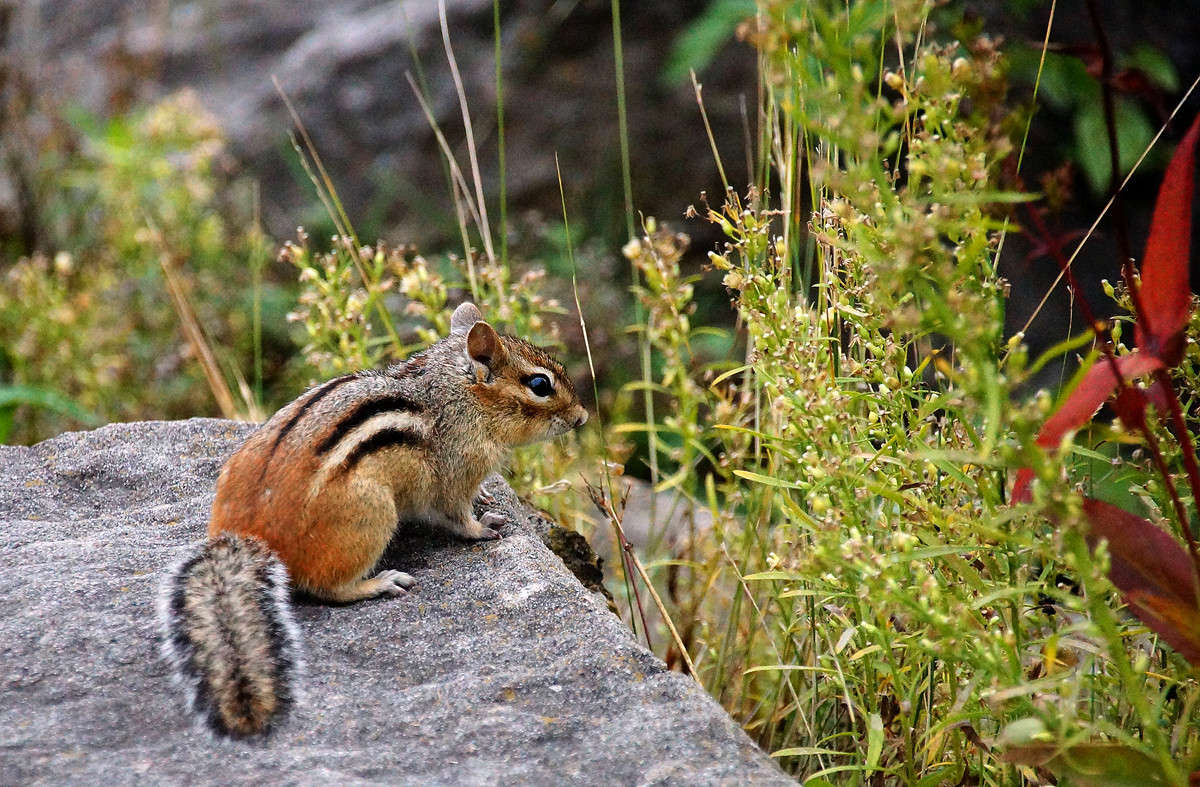 ��������� �� ��������� ����� �������  �� PhotoGeek.ru #�������� ���