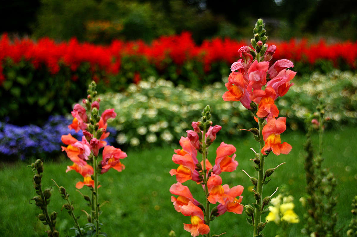 ������-������� ����� �������  �� PhotoGeek.ru #������ ��� �������