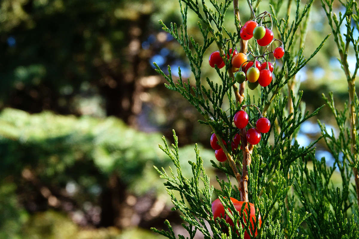 �������������� ����� �������  �� PhotoGeek.ru #������ ��� �������