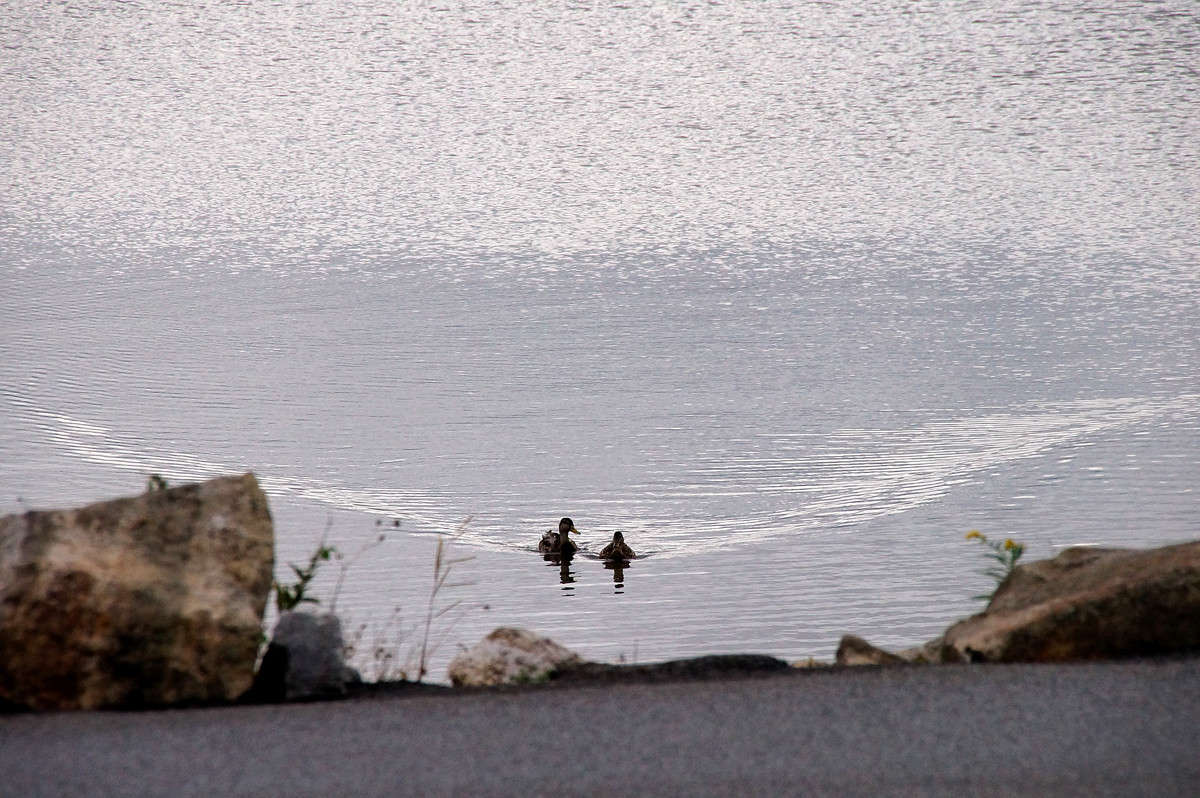 ��������������� ����� �������  �� PhotoGeek.ru #�������� ���