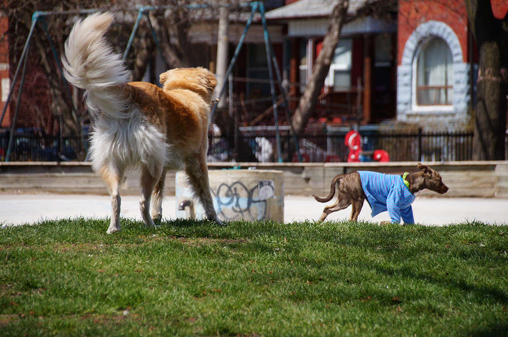 ������ ������� ����� �������  �� PhotoGeek.ru #�������� ���