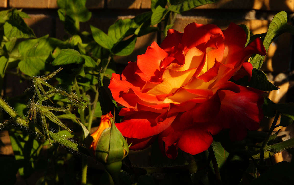 ���������� � ��������� ����� �������  �� PhotoGeek.ru #������ ��� �������